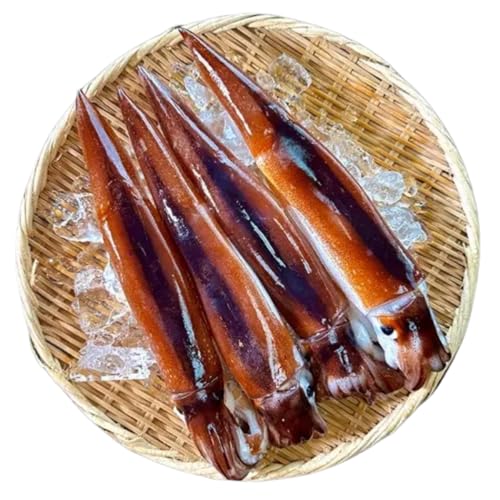 zˏXbCJ  kOY ⓀXCJ  4`6{ 1sO VN }Ⓚ XCJ