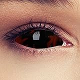 Designlenses, Dos Sclera lentillas de color ardiente negro para Halloween 22mm bestia lentillas de seis meses sin dioprtías/corregir + gratis caso de lente „Black Beast'