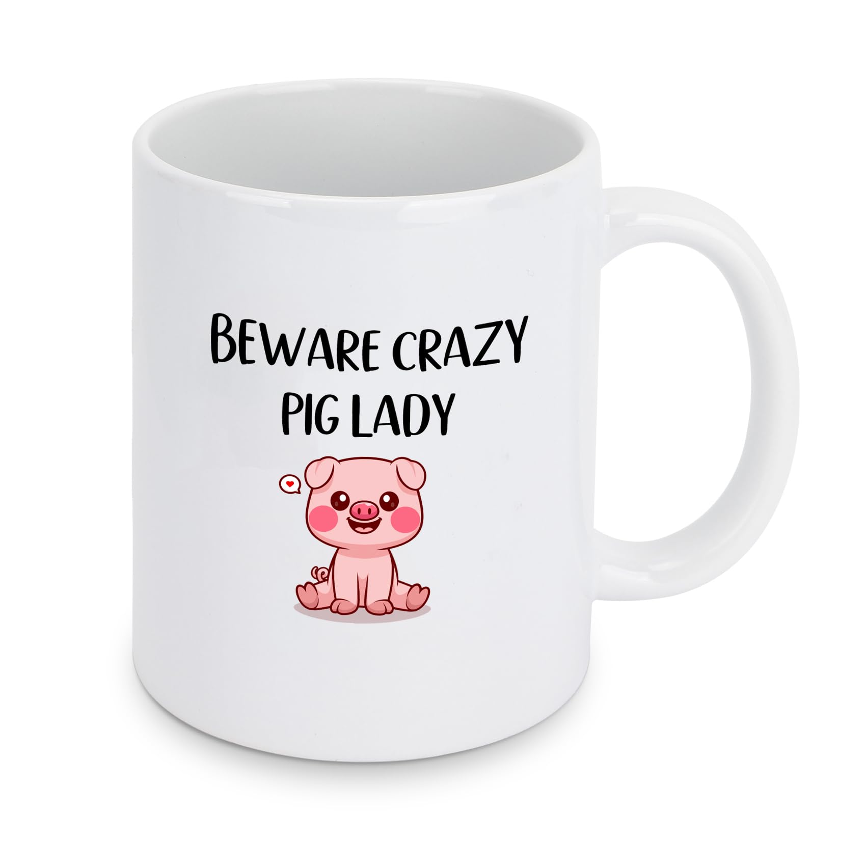Hroanc Pig Gifts for Women Mug Pigs Gifts for Pig Lovers Graduation Presents for Work Colleagues Friends Bestie Sister Animal Lovers Gift for Birthday Christmas Easter Mothers Day Coffee Gift