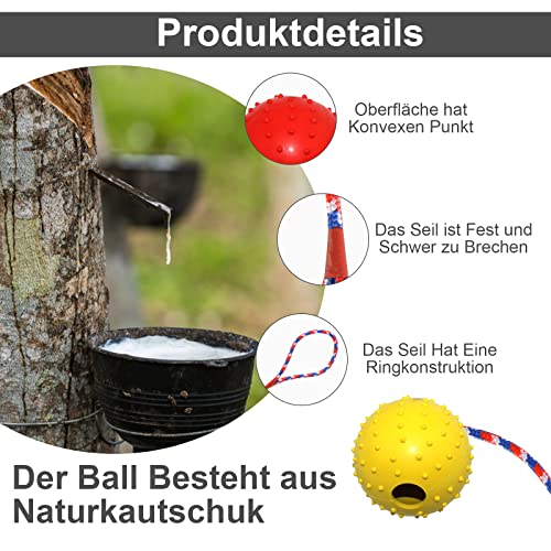 prota Wurfball Hund, 4 Stück Ball mit Seil Naturkautschuk Ball für Hunde Hundespielzeug Ball Hundeball Weich und Elastisch Vollgummiball für Große & Kleine Hunde Werfen Zufällige Farbe