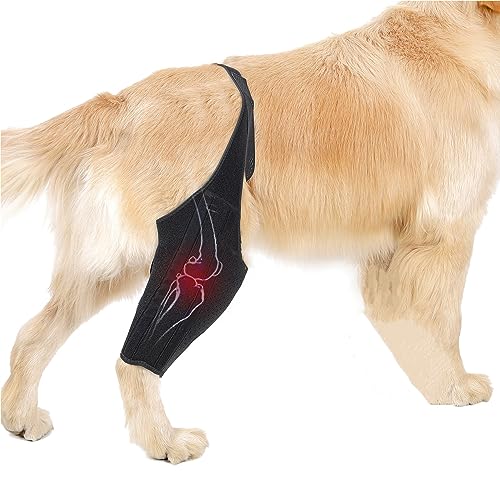 Image of Dog Knee Brace for Support with Cruciate Ligament Injury, Joint Pain and Muscle Sore,Adjustable Dog Leg Brace Protects Wounds,Heals,and Prevents Wound Infection for Dogs S