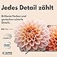 Vestel Fernseher 55 Zoll Smart TV Powered by TiVo, 4K UHD Fernseher mit Dolby Vision HDR, Dolby Atmos und integriertem Triple-Tuner, LED TV 55UT9840 schwarz