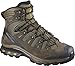 Salomon Men's QUEST 4D 3 GTX Backpacking Boots, Wren/Bungee Cord/Green Sulphur, 11