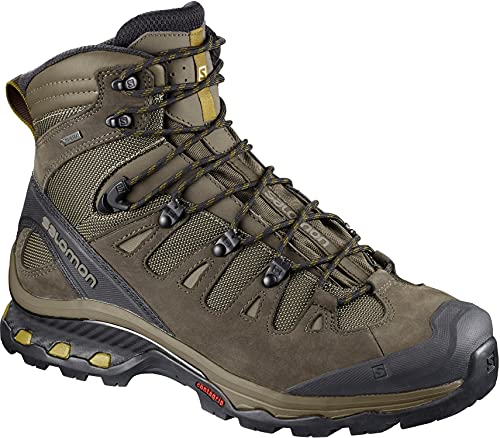 Salomon Men's QUEST 4D 3 GTX Backpacking Boots, Wren/Bungee Cord/Green Sulphur, 11