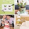 240PCS Butterfly Stickers, PET Waterproof Transparent Colorful Resin Decals Decorative for Nature Scrapbook Planners Laptops DIY Handbook Paper Crafts #4