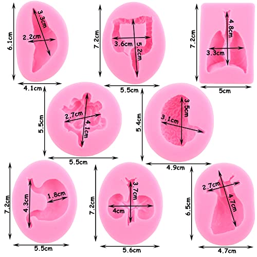 Mujiang Human Organs Silicone Molds Heart Brain Stem Stomach Intestinal Lung Kidney Chocolate Fondant Mold For Halloween Cake Decorating Cupcake Topper Candy Polymer Clay Gum Paste Set Of 8 #TOP1