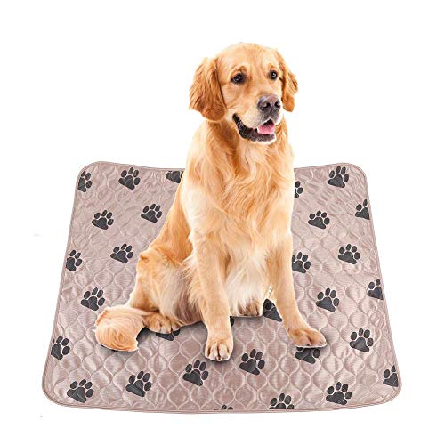ペット シーツ 犬用ベッド マット 床材の人気商品 通販 価格比較 価格 Com ペット シーツ 犬用ベッド マット 床材の人気商品 通販 価格比較 価格 Com