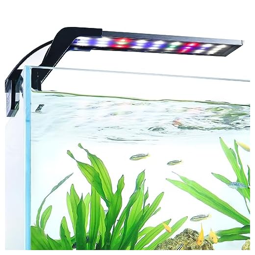 AQQA Aquarium Clip On Light,Fish Tank Full Spectrum LED Light,24/7 Sunrise Sunrise Mode+10 Adjustable Brightness Levels+Detachable Bracket+RGB LEDs + USB and Adapter,for Freshwater (8W)