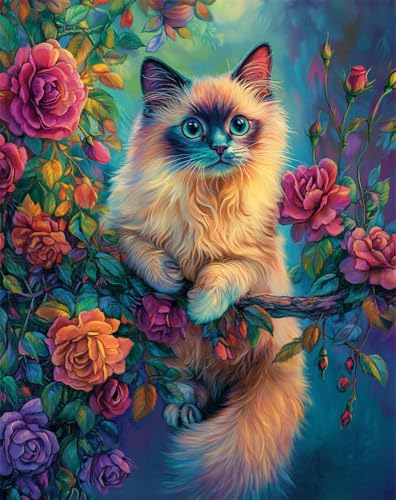 Henypt Kit Punto De Cruz Esquemas S Principiantes Tela Impresa Gato Ragdoll Colorido Y Rosas Cuadro Set Kits Bordado Punto De Cruz Kit Completo Hilo Y Tela Impreso Contado Patrones A Mano Hacer Fac