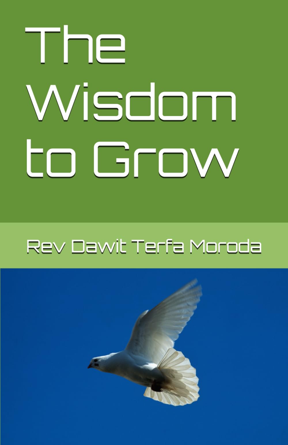 The Wisdom to Grow: From Blaming to Blessing: When Blame Loses Its Power