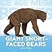 Ice Age Mega Beasts: Giant Short-faced Bears