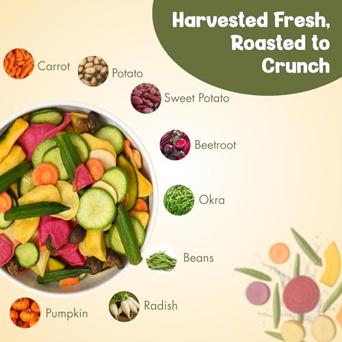 Image of Snack It Up Vacuum-Crisped Mix Vegetable Chips (90gm x 2) | Healthy Chips, Lightly Salted- Low Sodium | 8 Real Dehydrated Air Fried Healthy Vegetable Snacks |Guilt ‑Free & Low Oil , Non - GMO | Vegan, Plant Based, No Palm Oil Chips, Zero Preservatives Snacks for Kids /Adults | Healthy Chips, Lightly Salted Low Sodium, 8 Real Dehydrated Air Fried Healthy Vegetable Snacks, Guilt-Free & Low Oil, Non-GMO