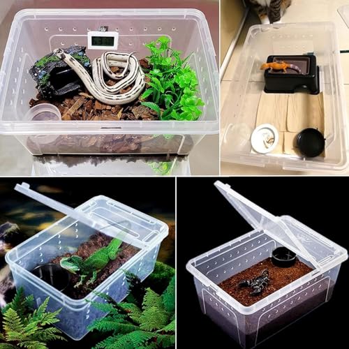 Cage d'élevage pour reptiles portable idéale pour les déplacements
