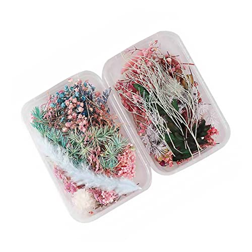 IMIKEYA Decoração De Unhas 2 Caixas Flores Secas De Aromaterapia Flor Seca Natural Decorações De Flo