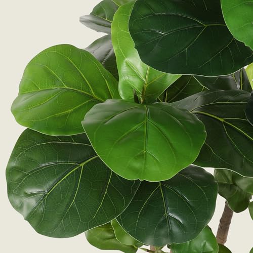 Realead Fiddle Leaf Fig Tree Artificial - 5ft Faux Fiddle Leaf Fig Tree with White Planter - Large Fake Fig Tree with Natural Trunk and Lifelike Leaves for Home Living Room Indoor Decor by REALEAD - Image 3