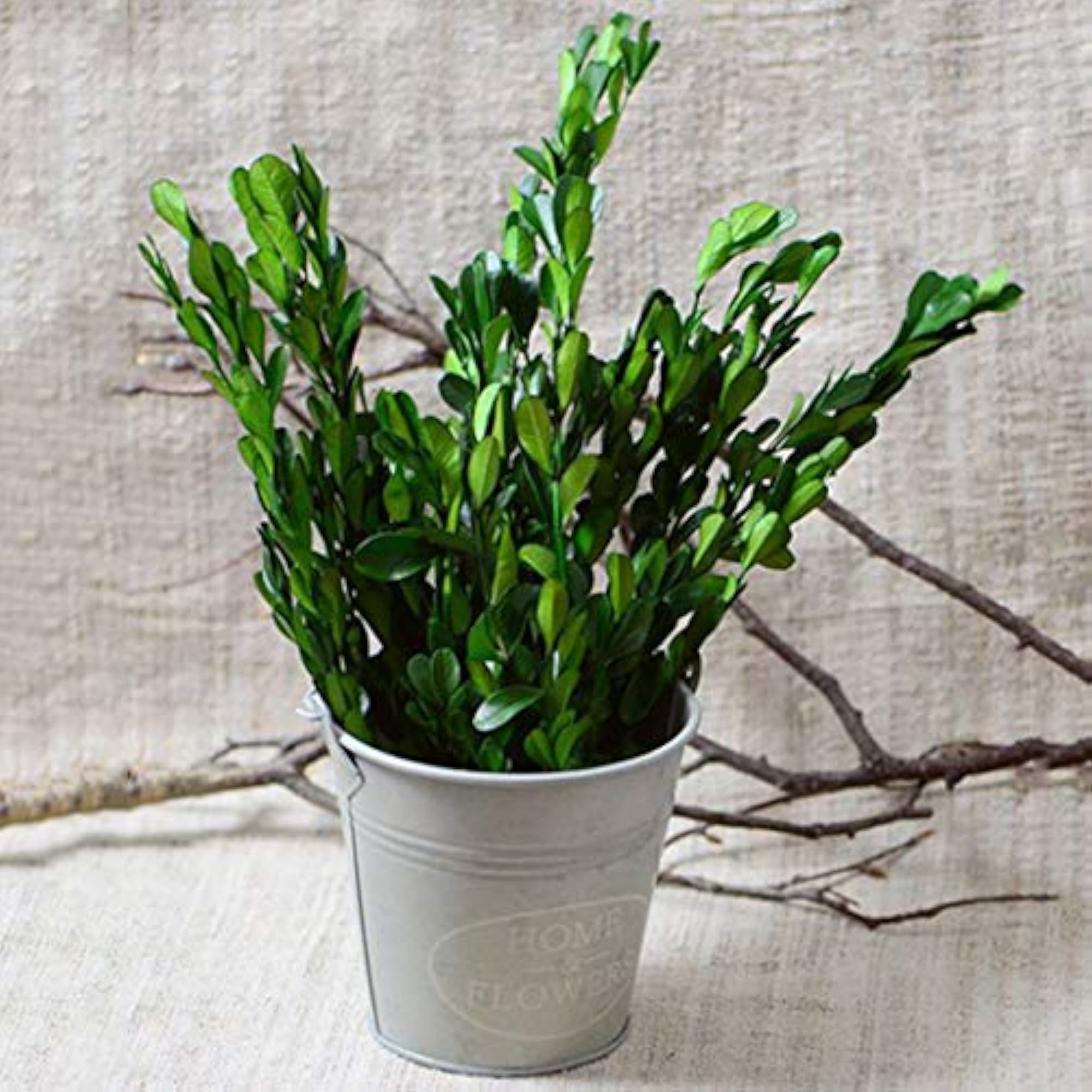 Dried Flower Bunch for Home Decoration