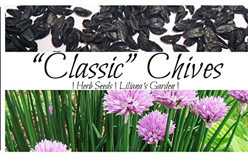 Herb Seeds - Chives - Heirloom - Attracts Pollinators - Liliana's Garden #TOP10
