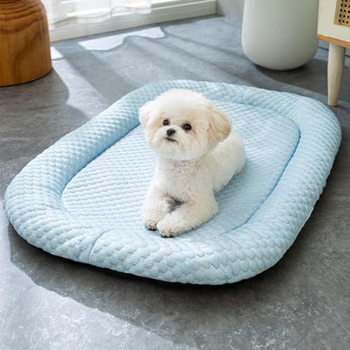 Kühlbett for Hunde, Kühlmatte for Hunde, Kühlkissen for Haustiere aus Eisseide, Kühlmatte for Hunde, blaues Hundebett oder Katzenbett for Kisten, Zwinger, Sofaböden, Autos, Außenbereich(Blauw,M)