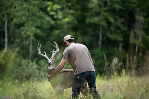 Field Logic Glendel Buck 3D Archery Target With Replaceable Insert Core, Glendel Buck W/4-Sided Insert, Brown #TOP5