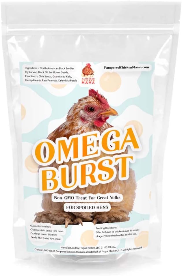 Omega 3 with BSFL Chicken Feed Supplement & Duck Treat for Great Eggs - Omega Burst (8 pounds)