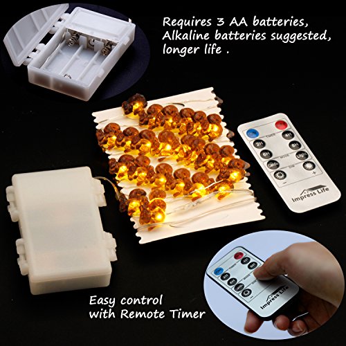 Impress Life Squirrel Decoration String Lights, Thanksgiving Christmas Festive Chipmunk Novelty Lights Battery-Powered 10 ft 50 LEDs with Remote for Winter Christmas Home Party, Fall, Forest Wedding