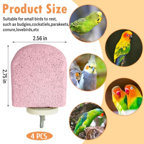 Image of PINVNBY 4 PCS Bird Perch Stands Parrot Calcium Perch Beak Grinding Stone Foot Claws Trimmer Parakeet Platform Parrot Chewing Toys for Small Medium Cockatiel Conure Lovebird Finch(Purple)