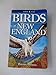 Birds of New England