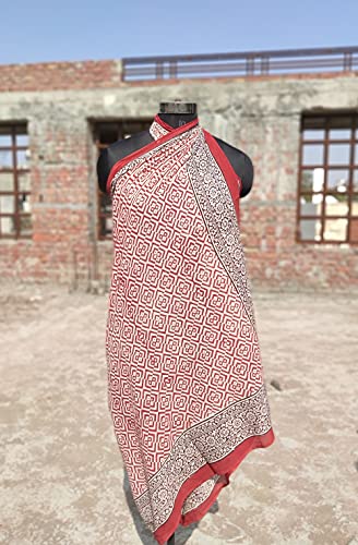 20 Pcs Wholesale Lot Sarong Indian Hand Block Natural Wagerable Print Women Beach Wear Scarf (20) Multicolor #TOP1