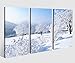 Produktbild Leinwandbild 3 Tlg. Schnee Landschaft im Winter Leinwand Bild Bilder auf Keilrahmen Holz - fertig gerahmt 9O930, 3 tlg BxH:90x60cm (3Stk 30x 60cm)