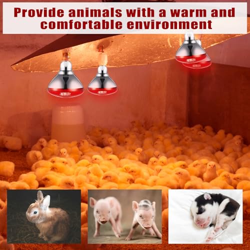Image of 4 Pack Infrared Heat Lamp for Chickens 150 Watt 120v Thickened Red Heat Lamp Bulbs for Food Service, Reptile, Pet, Bathroom, Light Therapy Use E26 Base