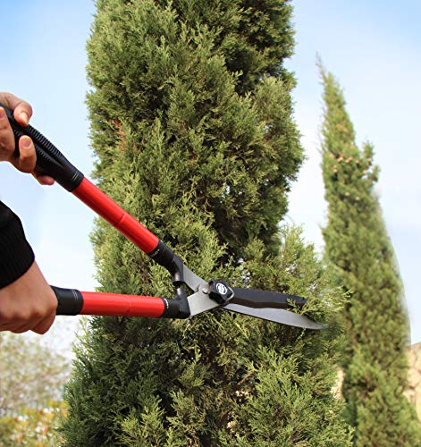TABOR TOOLS B212A Telescopic Hedge Shears with Wavy Blade and Extendable Steel Handles. Extendable Manual Hedge Clippers for Trimming Borders, Boxwood, and Tall Bushes.