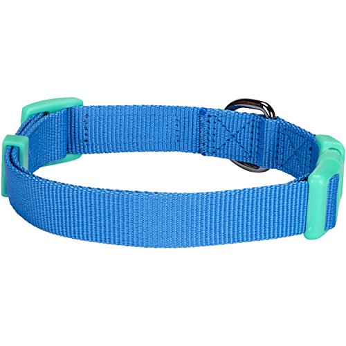 Blueberry Pet 7 Patterns Laid Back Weekender Club Blue Cotton Blend Neckerchief Scarf Bandana Adjustable Dog Collar, Small, Neck 12"-16" #TOP4