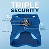 Best Pet Supplies Voyager Step-in Air Harness - All Weather Mesh, Reflective, No Pull Harness for Dogs, Cats - Secure with Hook & Loop Fastener, Buckle, Double D-Rings - Royal Blue, M #1