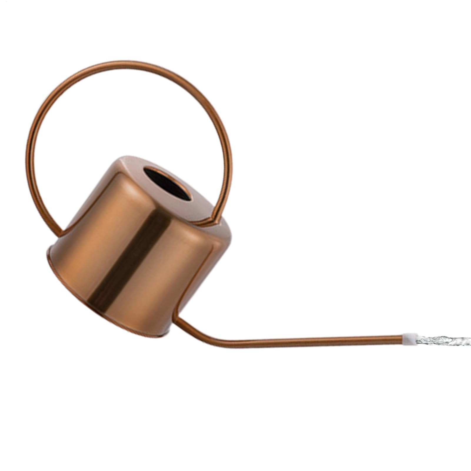 Arrosoir d'intérieur en acier inoxydable 1,3 l au design élégant et durable
