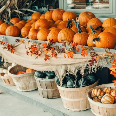 Romulus Pumpkin Festival is back just in time for the start of Fall Podcast Por  arte de portada