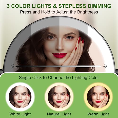 Wall Mounted Lighted Makeup Mirror - 9 Inch Large Double Sided 1X/10X Magnifying Led Vanity Mirror With 3 Color Lights & Stepless Dimming - 360°Swivel Extendable Bathroom Touch Sensor Cosmetic Mirror #TOP1