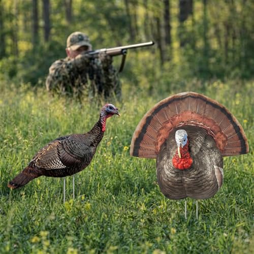 Novabright 5 Pcs 2D Turkey Decoys Hunting Yard Sign Stake-Lightweight Turkey Decoys Collapsible Stakes-Portable Pole for Replacement Stake(Realistic) by Novabright - Image 6