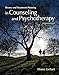 Theory and Treatment Planning in Counseling and Psychotherapy