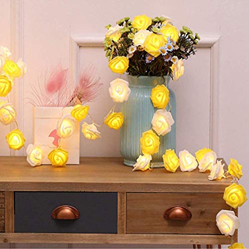 REDGO Rose String Fairy Led Lights, Battery Operated 30 LED Light for Home Indoor Outdoor Girl's Bedroom Garden Fence Christmas Thanksgiving Valentine's Mother's Day Wedding, Warm White Yellow