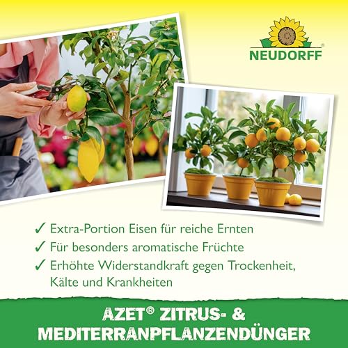 Neudorff Azet Zitrus- & MediterranpflanzenDünger – Bio Langzeitdünger mit Mykorrhiza fördert aromatische Früchte wie Zitronen, Orangen und Oliven, 750 g