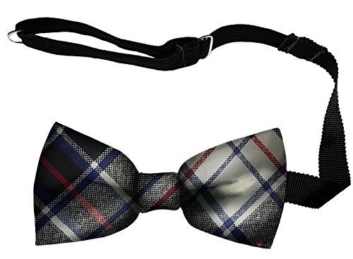 Noeud papillon MacRae Dress Modern Tartan homme en laine douce