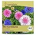 Samenliebe BIO Kornblume Samen Bunte Blüten Schnittblume Bienenweide 200 Samen samenfestes Blumen Saatgut für Gewächshaus Freiland und Balkon BIO Blumensamen mehrjährig