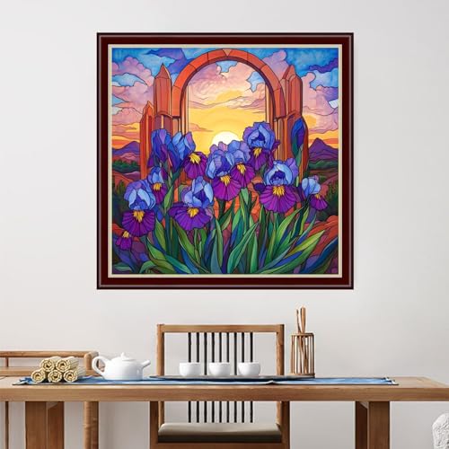 Image of Dimensean Stamped Cross Stitch Kits Full Range of Embroidery Patterns Starter Kits for Beginners Adult DIY Cross Stitches Needlepoint Kits 11CT-Sunrise Oriole Tail Flower 18x18 inch