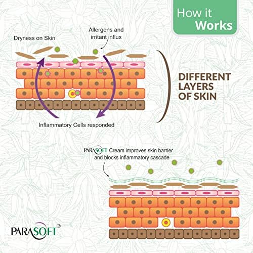 Image of Parasoft Moisturizing Cream with Aloe Vera - 500g (Pack of 16) | Deep Hydration Intense Moisturizer for Dry & Dehydrated Skin, Non-Greasy, All-Season Daily Skincare, Dermatologist Tested, Paraben-Free