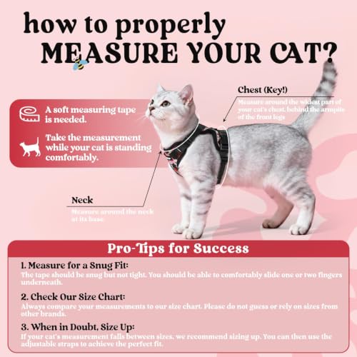 Image of rabbitgoo Cat Harness and Leash Set, Escape Proof Vest, Berry Pounce