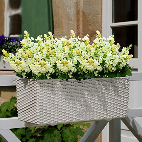 Guagb Artificial Fake Flowers Silk Plastic Plant Arrangement For Home Indoor Outdoor Garden Wedding Table Vase Decorations Faux Snapdragon Flower,3 Bouquets (White) #TOP4