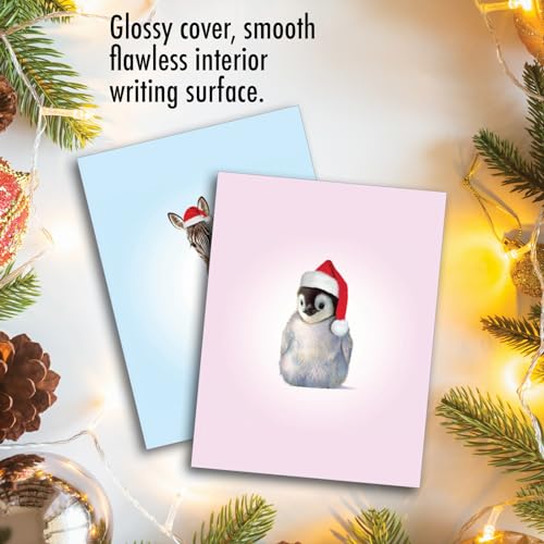 Image of The Best Card Company - 10 Blank Animal Christmas Note Cards - Assorted Bulk Holiday Cards for Men and Women, Fun Wildlife (4 x 5.12 Inch) - Christmas Zoo Babies M6726XSB