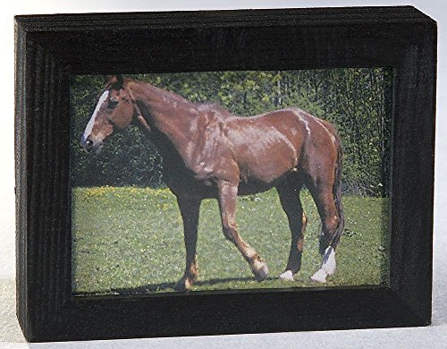 Preisvergleich Produktbild Kahlert Licht 49645 Puppenhauszubehör, schwarz, mit Motiv