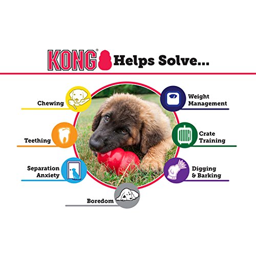 Kong Senior, Größe:S
