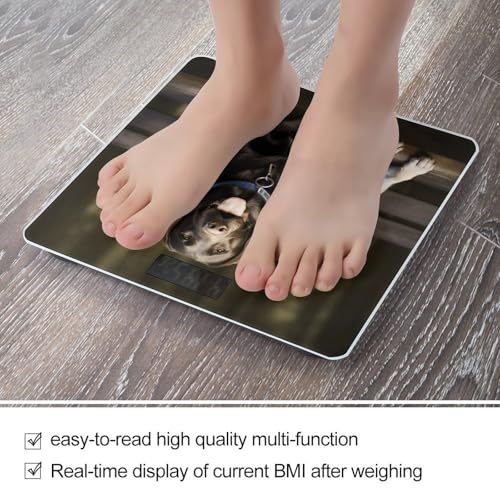 Báscula Digital de Baño Labrador Precisión 400lb Vidrio miniatura 5
